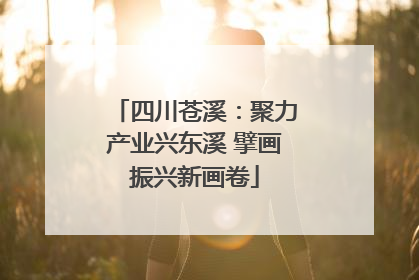 四川苍溪：聚力产业兴东溪 擘画振兴新画卷