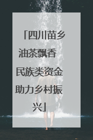 四川苗乡油茶飘香 民族类资金助力乡村振兴