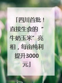 四川首批！直接生食的“牛奶玉米”亮相，每亩纯利提升3000元