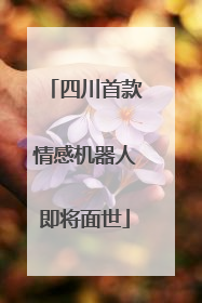 四川首款情感机器人即将面世