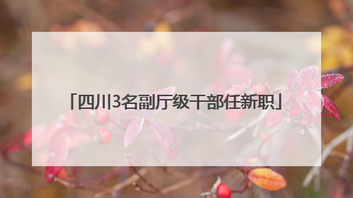 四川3名副厅级干部任新职