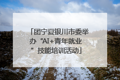 团宁夏银川市委举办“AI+青年就业”技能培训活动