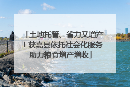 土地托管、省力又增产！获嘉县依托社会化服务助力粮食增产增收
