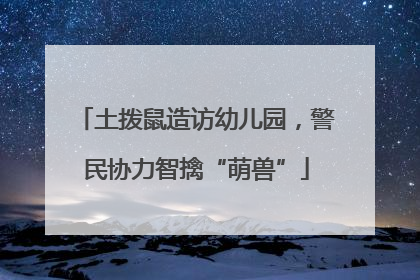 土拨鼠造访幼儿园，警民协力智擒“萌兽”