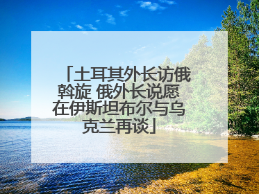 土耳其外长访俄斡旋 俄外长说愿在伊斯坦布尔与乌克兰再谈