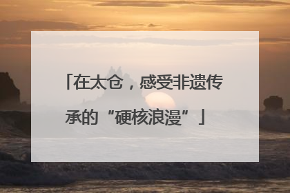 在太仓，感受非遗传承的“硬核浪漫”