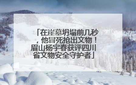 在崖墓坍塌前几秒，他冒死抢出文物！眉山杨宇春获评四川省文物安全守护者