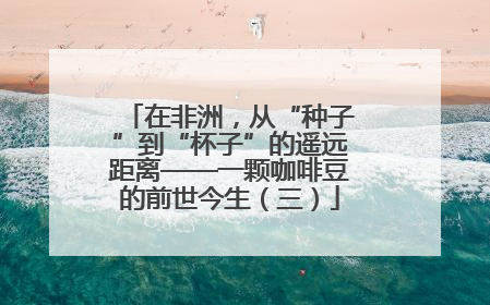 在非洲，从“种子”到“杯子”的遥远距离——一颗咖啡豆的前世今生（三）