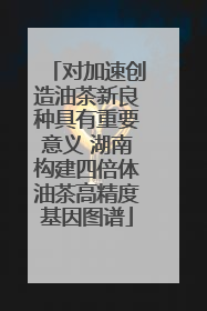 对加速创造油茶新良种具有重要意义 湖南构建四倍体油茶高精度基因图谱