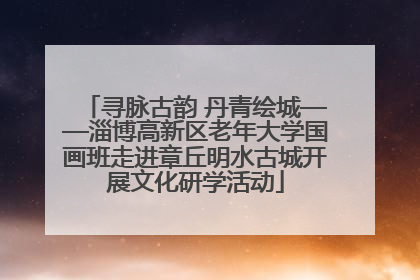 寻脉古韵 丹青绘城——淄博高新区老年大学国画班走进章丘明水古城开展文化研学活动