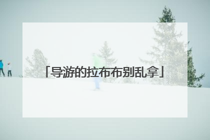 导游的拉布布别乱拿
