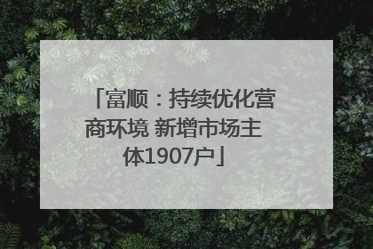 富顺：持续优化营商环境 新增市场主体1907户