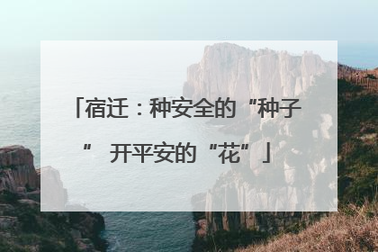 宿迁：种安全的“种子” 开平安的“花”
