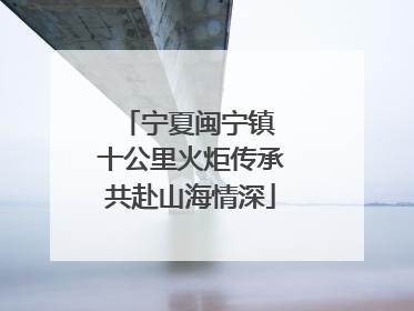宁夏闽宁镇 十公里火炬传承共赴山海情深
