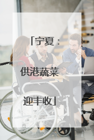 宁夏：供港蔬菜迎丰收