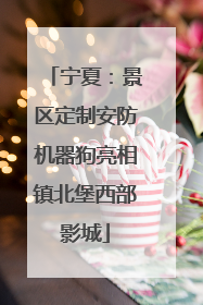 宁夏：景区定制安防机器狗亮相镇北堡西部影城