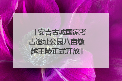 安吉古城国家考古遗址公园八亩墩越王陵正式开放