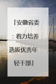 安徽省委：着力培养选拔优秀年轻干部
