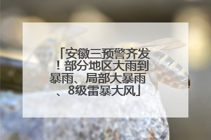 安徽三预警齐发！部分地区大雨到暴雨、局部大暴雨、8级雷暴大风