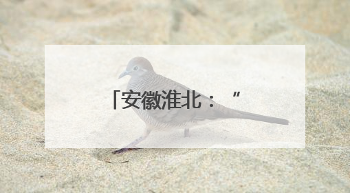 安徽淮北：“蒜”出致富路 丰产又丰收