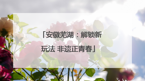 安徽芜湖：解锁新玩法 非遗正青春