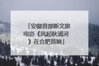 安徽首部新文旅电影《风起秋浦河》在合肥首映