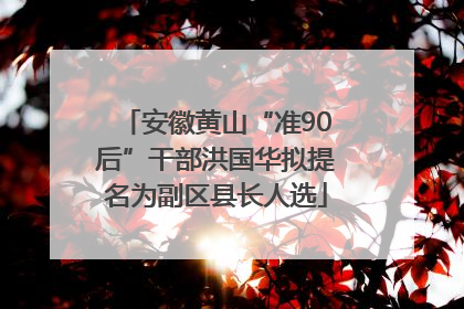 安徽黄山“准90后”干部洪国华拟提名为副区县长人选