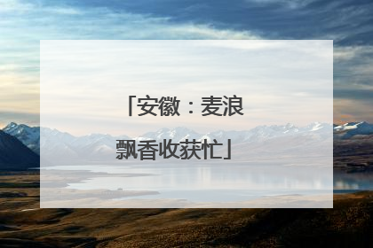 安徽：麦浪飘香收获忙