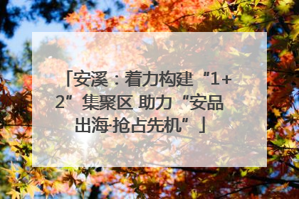安溪：着力构建“1+2”集聚区 助力“安品出海·抢占先机”