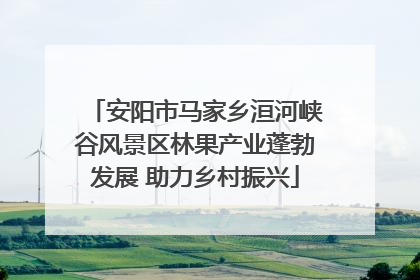 安阳市马家乡洹河峡谷风景区林果产业蓬勃发展 助力乡村振兴