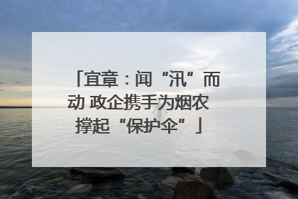 宜章：闻“汛”而动 政企携手为烟农撑起“保护伞”