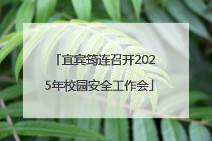 宜宾筠连召开2025年校园安全工作会
