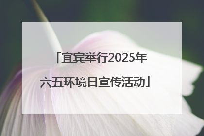 宜宾举行2025年六五环境日宣传活动