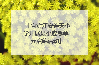 宜宾江安连天小学开展最小应急单元演练活动