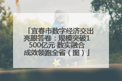 宜春市数字经济交出亮眼答卷：规模突破1500亿元 数实融合成效领跑全省（图）