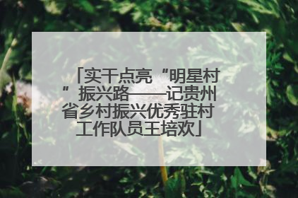 实干点亮“明星村”振兴路——记贵州省乡村振兴优秀驻村工作队员王培欢
