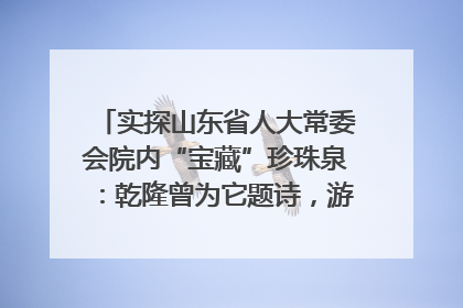 实探山东省人大常委会院内“宝藏”珍珠泉：乾隆曾为它题诗，游客无需预约免费游览