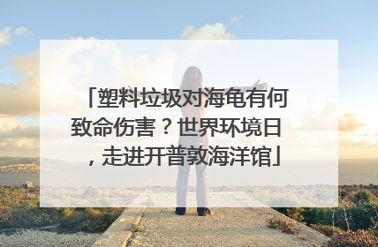 塑料垃圾对海龟有何致命伤害？世界环境日，走进开普敦海洋馆
