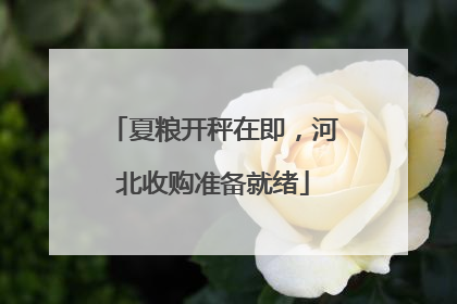 夏粮开秤在即，河北收购准备就绪