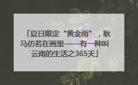 夏日限定“黄金雨”，耿马仿若在画里——有一种叫云南的生活之365天
