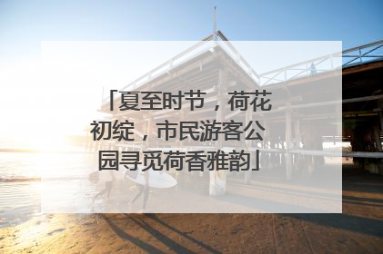 夏至时节，荷花初绽，市民游客公园寻觅荷香雅韵