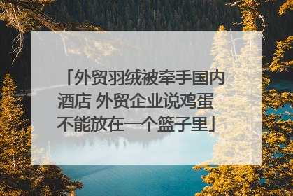 外贸羽绒被牵手国内酒店 外贸企业说鸡蛋不能放在一个篮子里