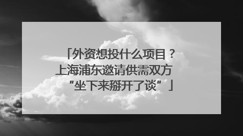 外资想投什么项目？上海浦东邀请供需双方“坐下来掰开了谈”