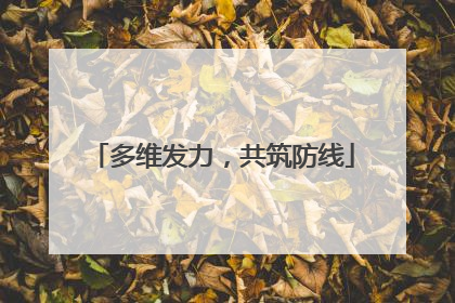 多维发力，共筑防线