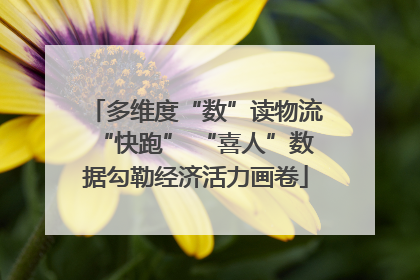 多维度“数”读物流“快跑” “喜人”数据勾勒经济活力画卷