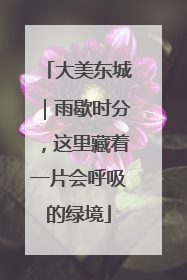 大美东城｜雨歇时分，这里藏着一片会呼吸的绿境