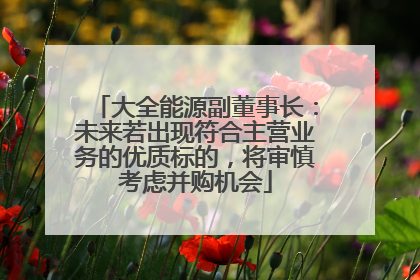 大全能源副董事长：未来若出现符合主营业务的优质标的，将审慎考虑并购机会