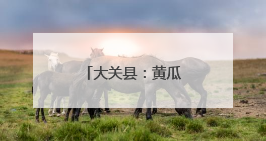 大关县：黄瓜触网销路宽