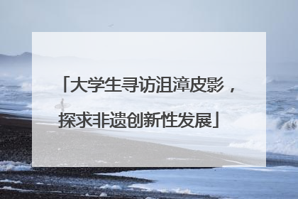 大学生寻访沮漳皮影，探求非遗创新性发展
