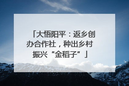 大悟阳平：返乡创办合作社，种出乡村振兴“金稻子”